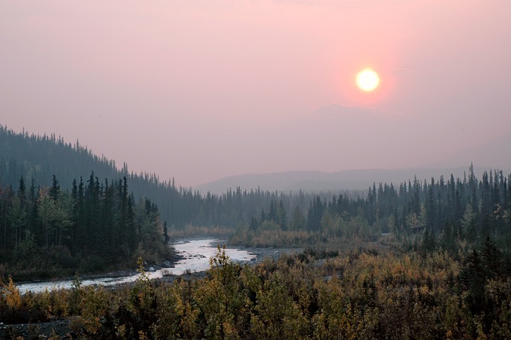 Denali NP 02