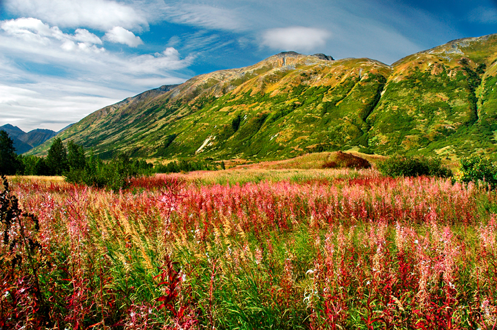Seward Hwy 09