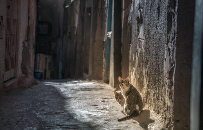 Ghardaia 27