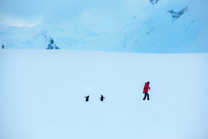 Antactica 01
