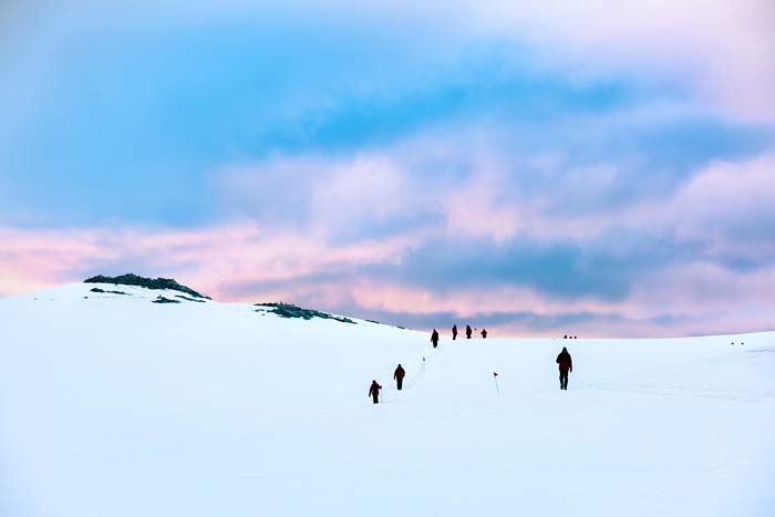 Antactica 07