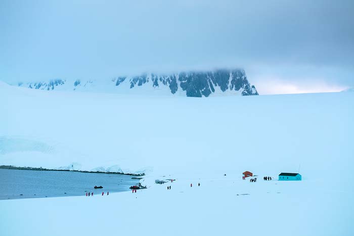 Antactica 13