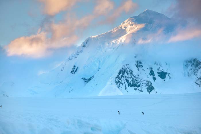 Antactica 15