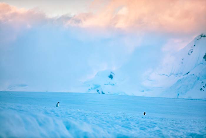 Antactica 17