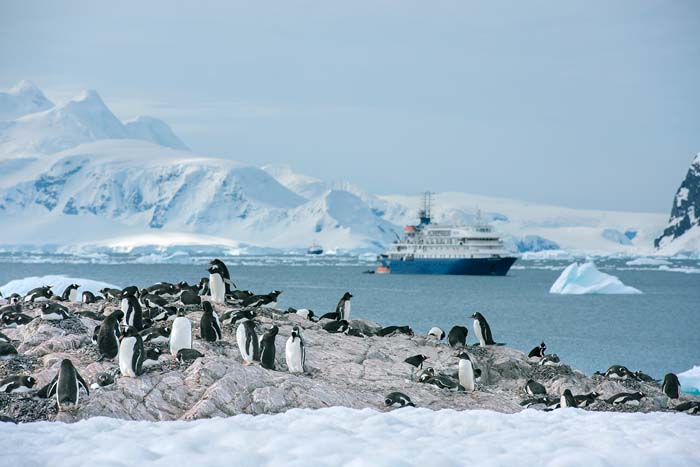 Antactica 36