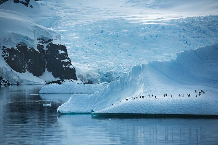 Antactica 37