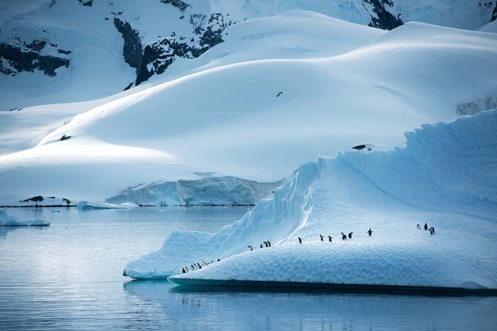 Antactica 38