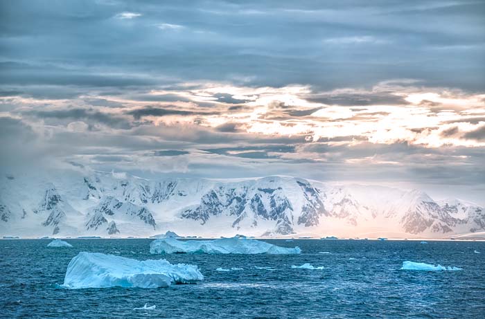 Antactica 40