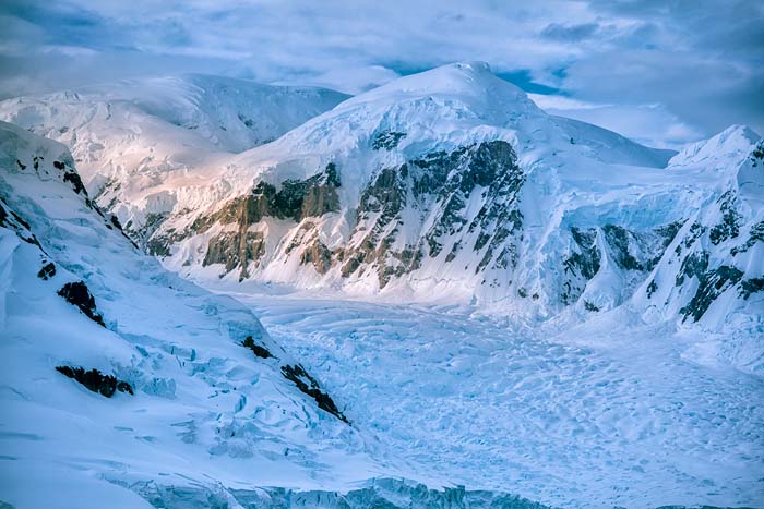 Antactica 44