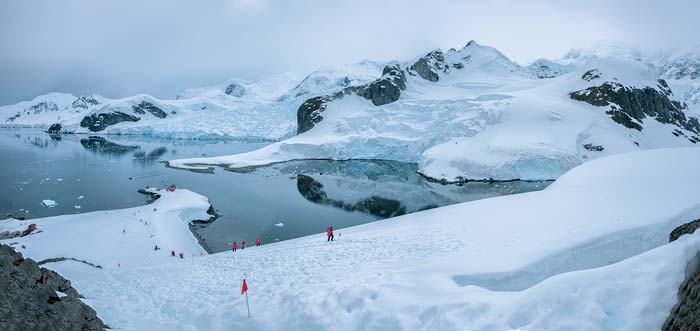 Antactica 45
