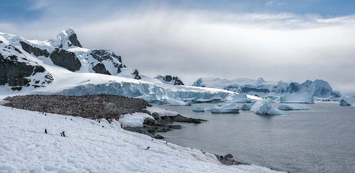 Antactica 46