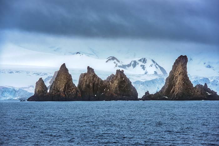 Antactica 48