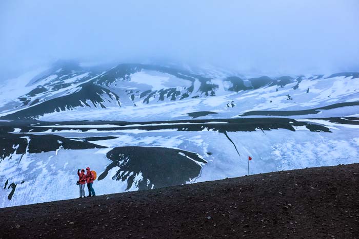 Antactica 51