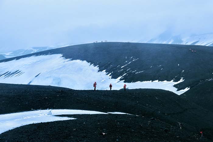 Antactica 54