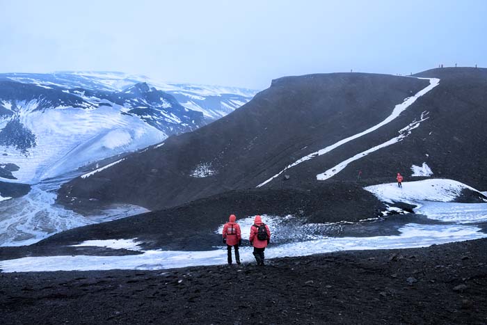 Antactica 55