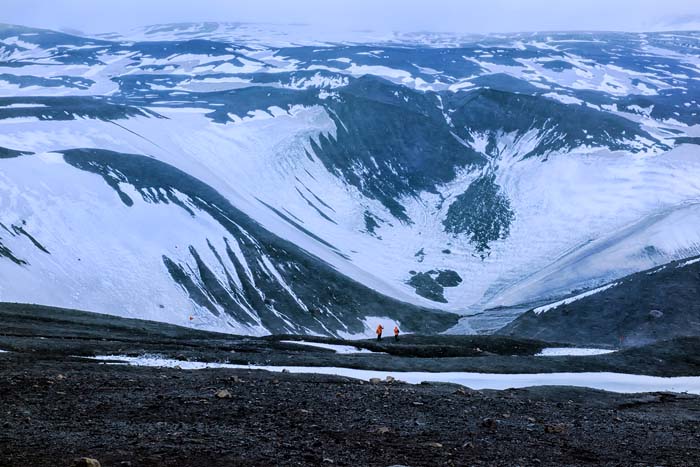 Antactica 56