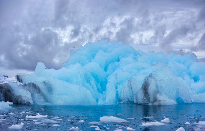 Antactica 59