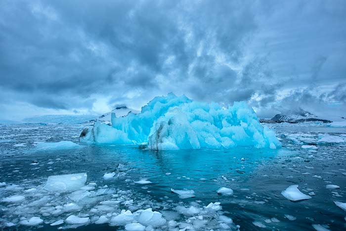 Antactica 60