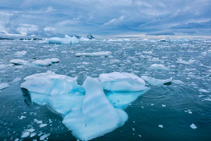 Antactica 61