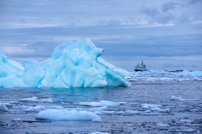 Antactica 63