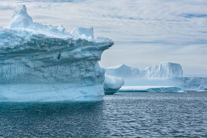 Antactica 65