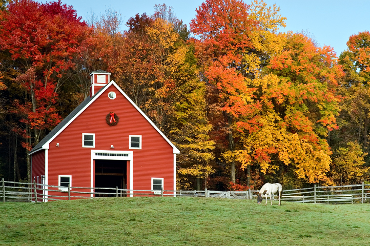 Barn and Horse, Hollis, NH  
