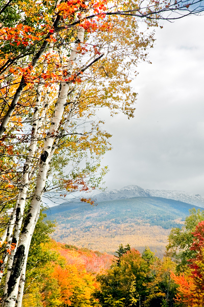 Lafayette, Franconia Range, White Mountains, NH 01