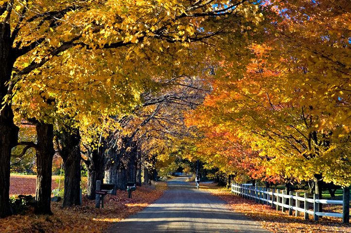 Road, Hollis, NH