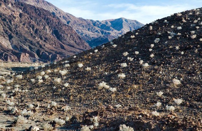 Artists Palette Drive, Death Valley National Park 01