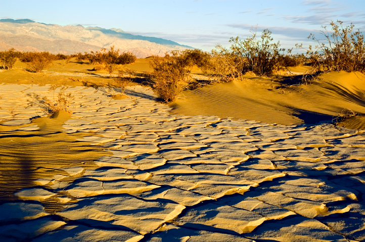 Mesquite Sand Dune, Death Valley National Park 02