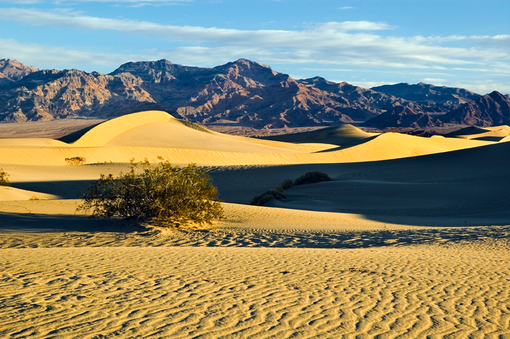 Mesquite Sand Dune, Death Valley National Park 05