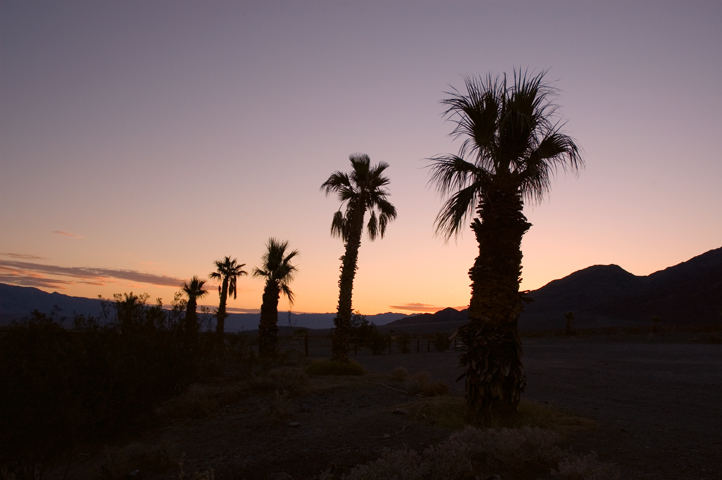 Stovepipe Wells, Death Valley National Park 02