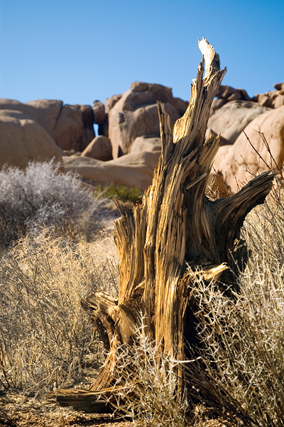 Boulders, Split Rock, Joshua Tree National Park 01