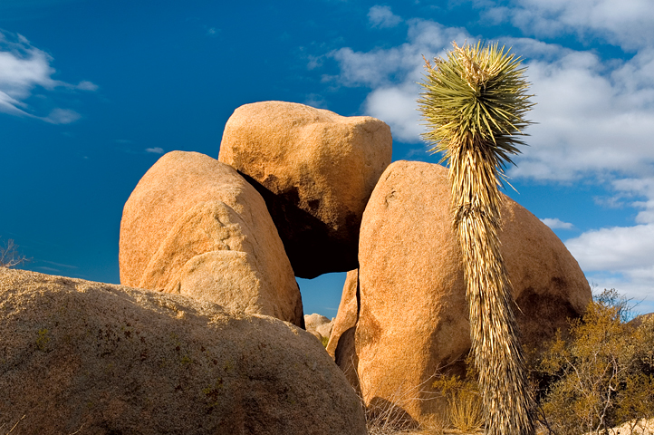 Boulders, White Tank, Joshua Tree National Park 04
