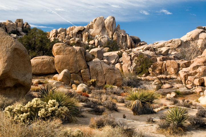 Hidden Valley, Joshua Tree National Park 01