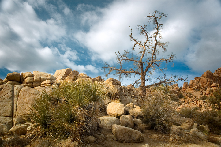 Hidden Valley, Joshua Tree National Park 03