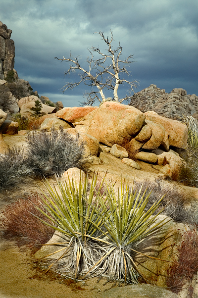 Hidden Valley, Joshua Tree National Park 04