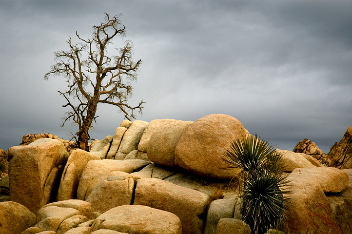 Hidden Valley, Joshua Tree National Park 05