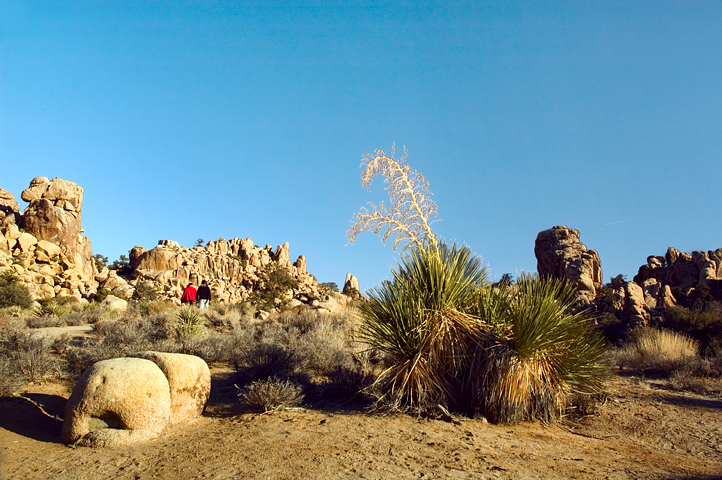 Hidden Valley, Joshua Tree National Park 06
