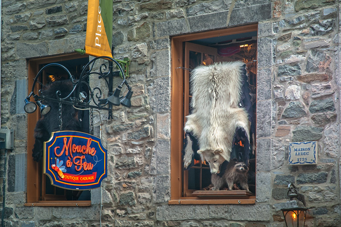 Old Quebec 13