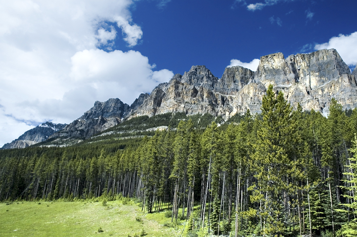 Bow Valley Parkway, Mt Castle, Banff National Park