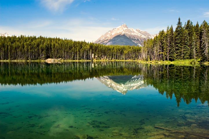 Herbert Lake, Banff National Park 02