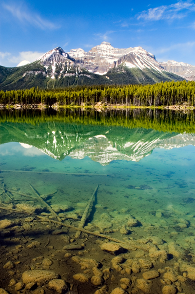 Herbert Lake, Banff National Park 03