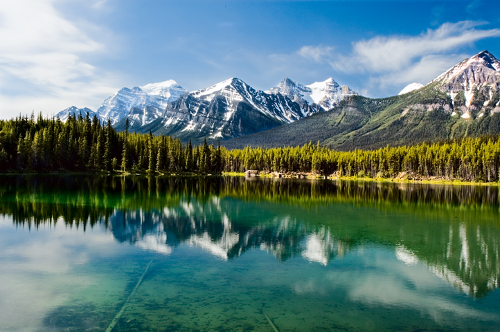 Herbert Lake, Banff National Park 04