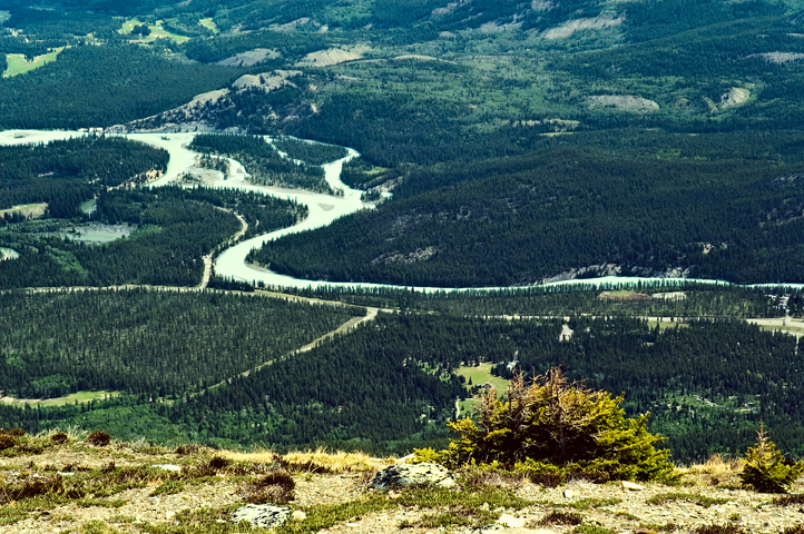 Athabasca River, Jasper National Park