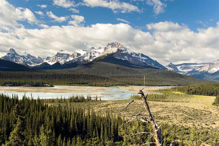 IceFields Parkway, Jasper National Park 02