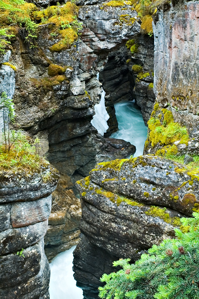 Maligne Canyon, Bridge 3, Jasper National Park 01