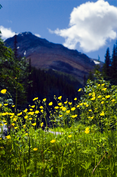 Miette Hot Springs, Jasper National Park