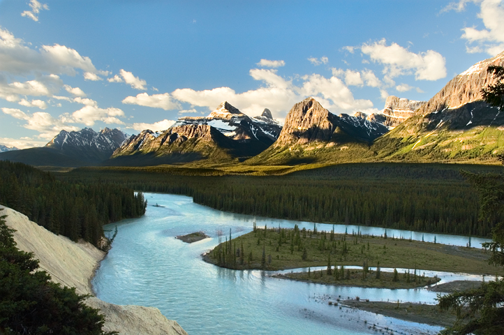 Mt. Brussels, Athabasca River, Jasper National Park