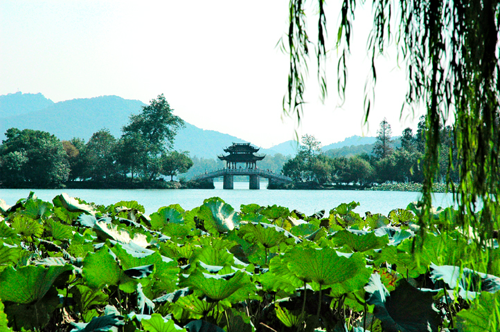 Western Lake 06